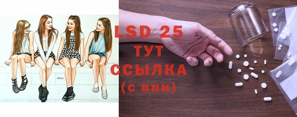спиды Ельня
