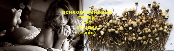 MESCALINE Дмитров