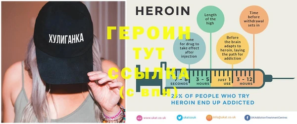 спиды Ельня