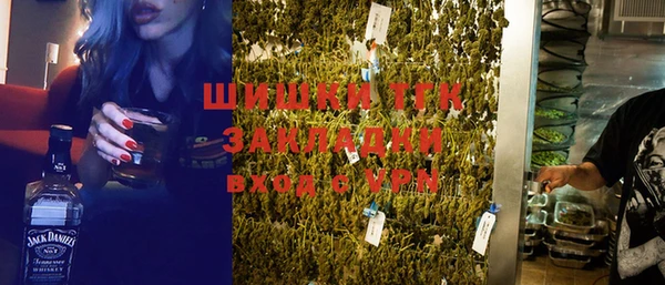 спиды Ельня