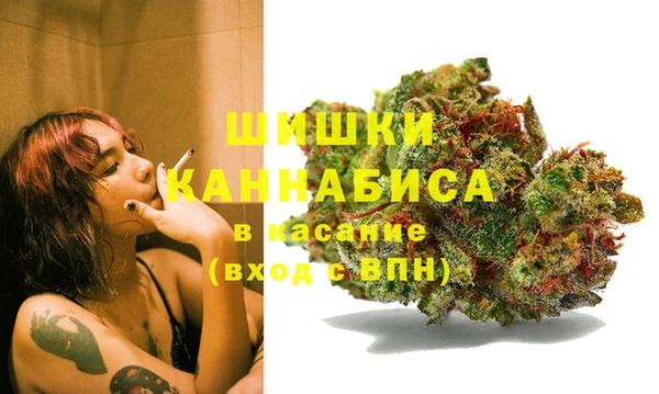 спиды Ельня