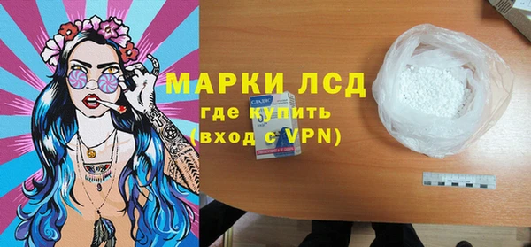 спиды Ельня