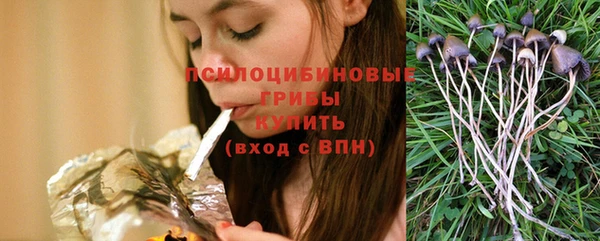 спиды Ельня