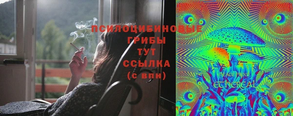 ешки Елабуга