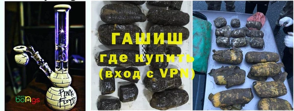 спиды Ельня