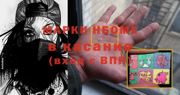 спиды Ельня