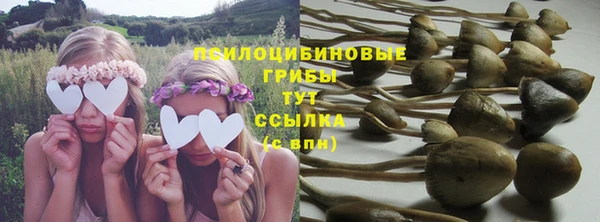 спиды Ельня