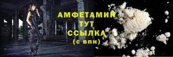 спиды Ельня