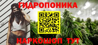 прущие крисы Гагарин