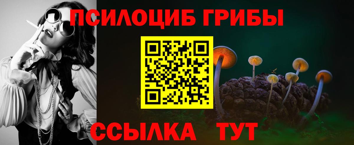 Первоуральск  Псилоцибиновые грибы GOLDEN TEACHER  купить  цена  Вход с VPN  Галлюциногенные грибы Cubensis 
